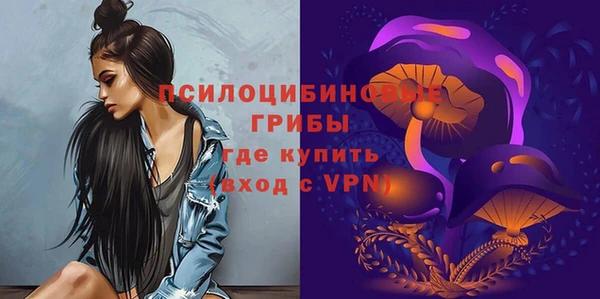 твердый Алексеевка