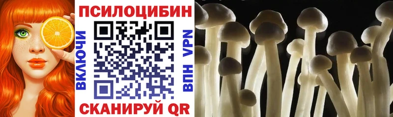гидра ссылки  Евпатория  Псилоцибиновые грибы Cubensis 